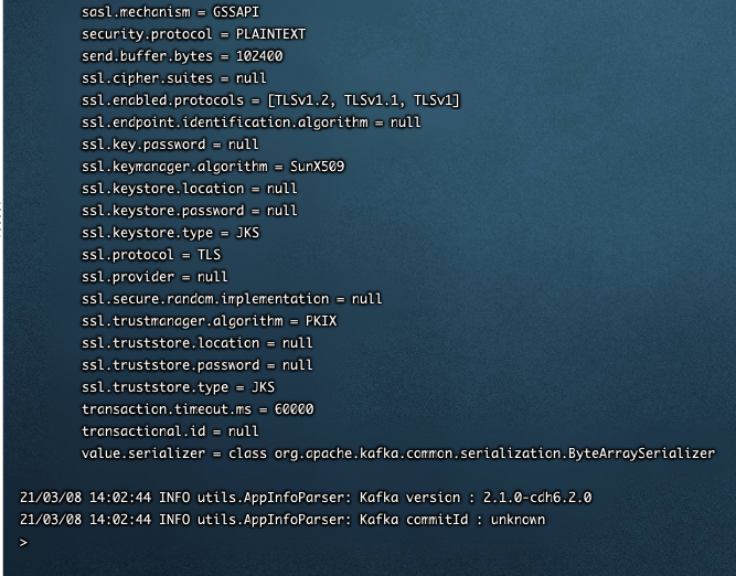 image-20210308140312134