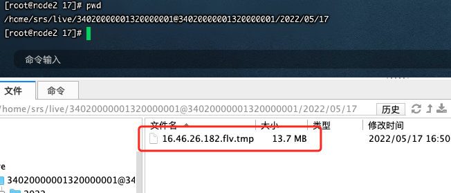 image-20220517165028946