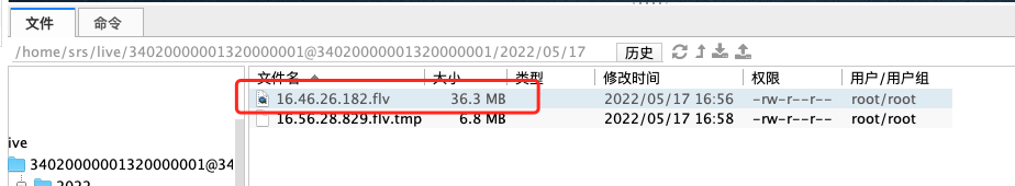 image-20220517165834772