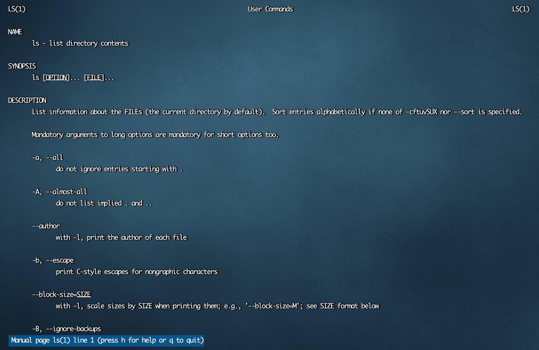 image-20240216122051270