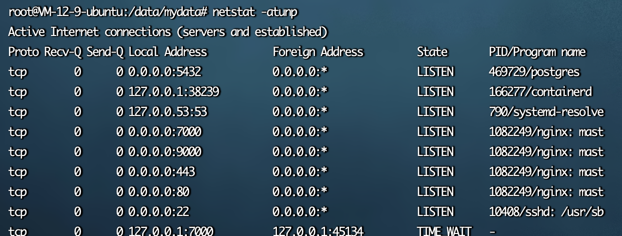 image-20240216130117889